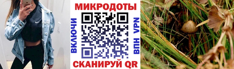 Галлюциногенные грибы ЛСД Поворино